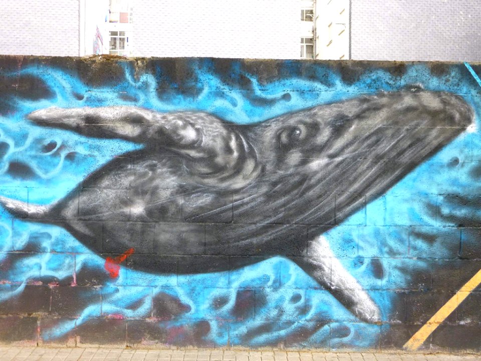 Ponferrada - graffiti & murals 08