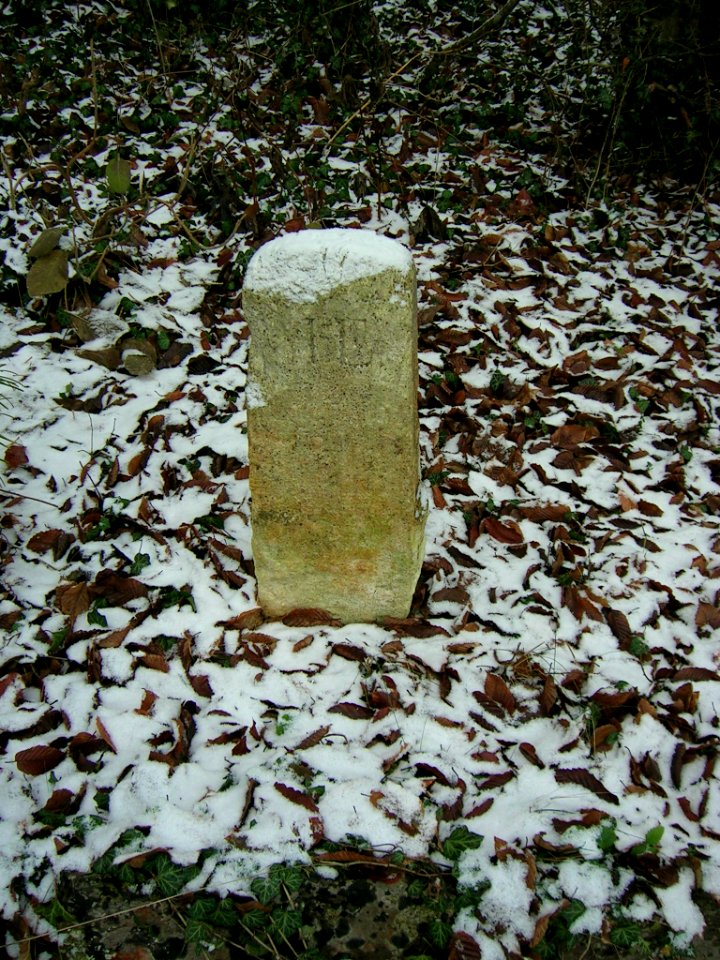 Pietenfeld an der Leithen -Grenzstein (2)