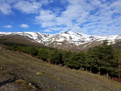 Picon1
