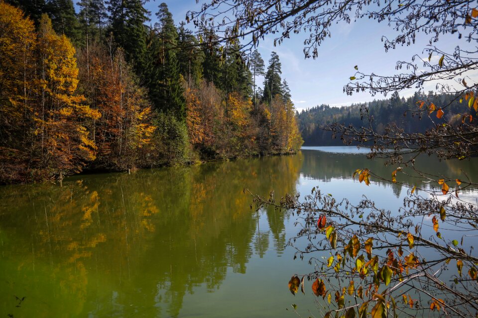 Retention basin autumn fall foliage