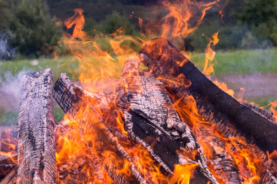 Beech wood potato fire potato roast photo