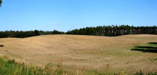 Poj Krajenskie koło Mroczy