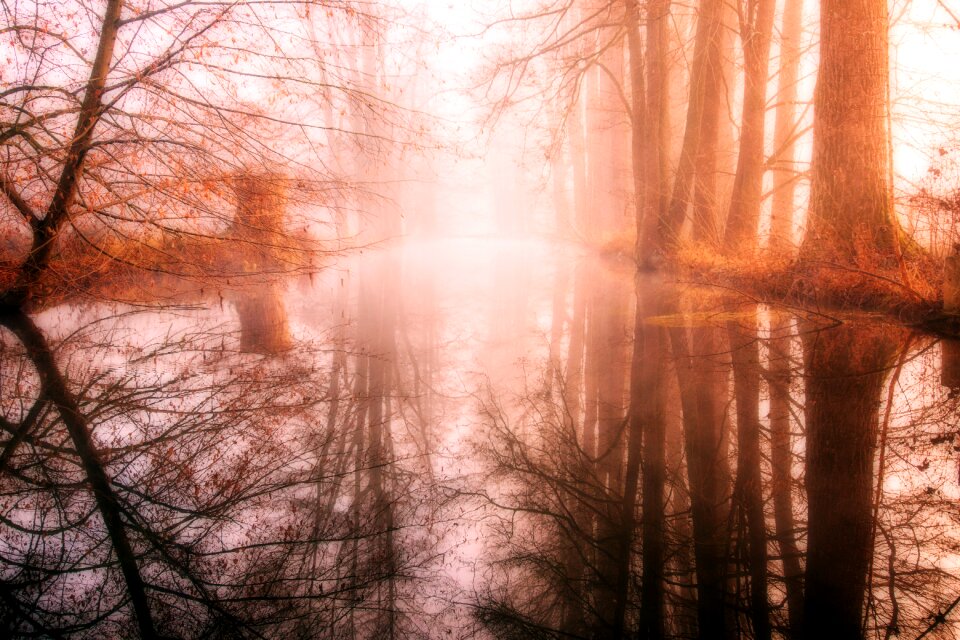 Autumn river fog