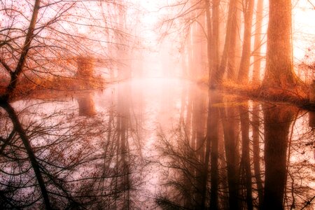 Autumn river fog photo