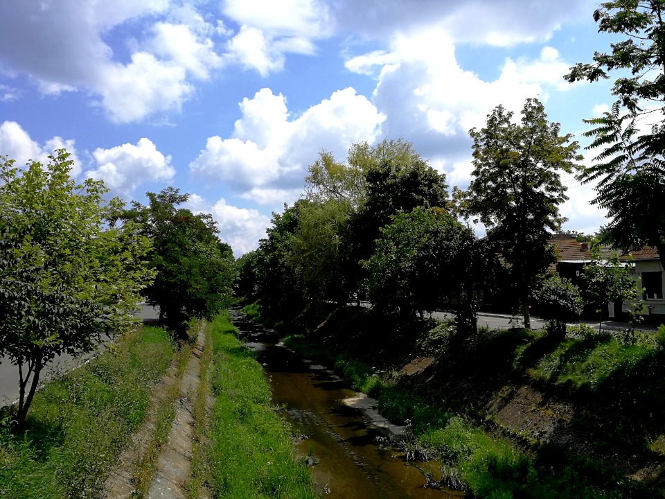 Poclos river, Tg. Mures (3)