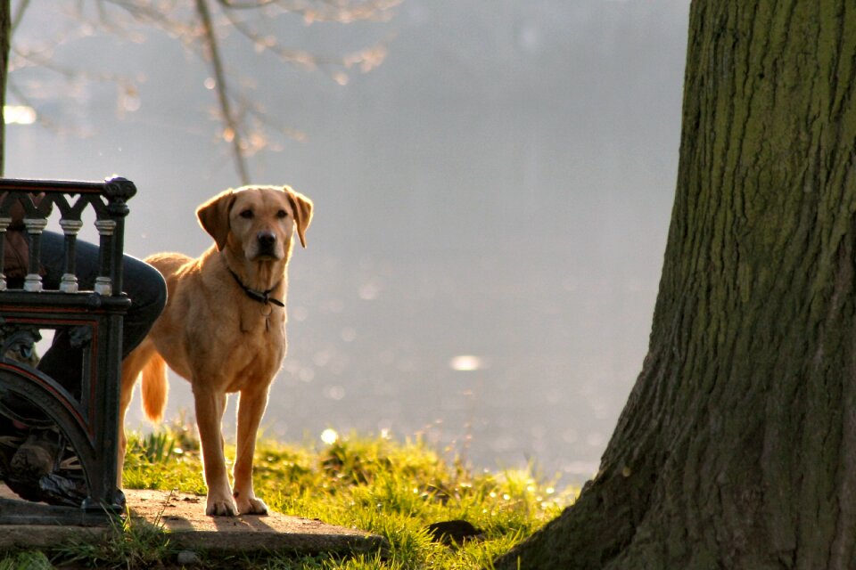 River park walking