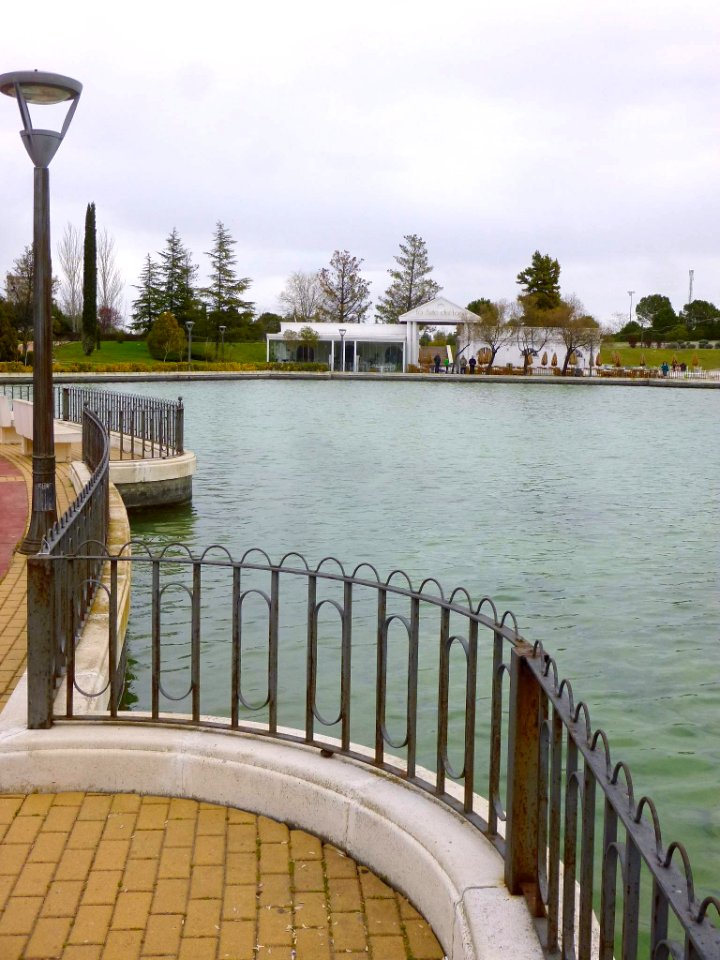 Pinto - lago del Parque Juan Carlos I (2)
