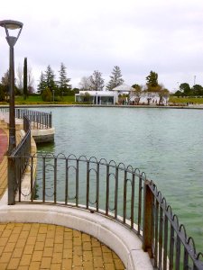 Pinto - lago del Parque Juan Carlos I (2) photo