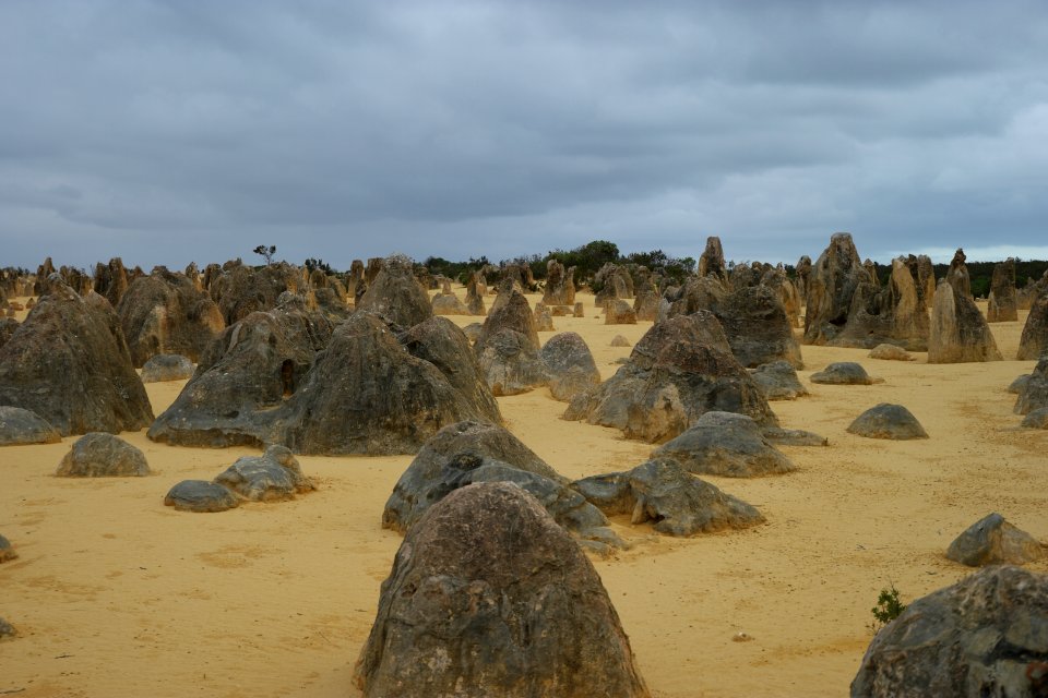 Pinnacles Desert, Nambung National Park, Western Australia 02