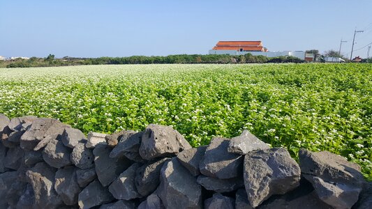 Landscape red roof stone wall