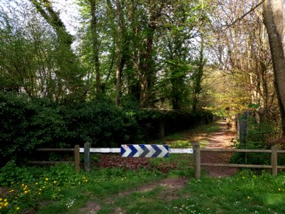 Plaisir - Parc du château - Entrée photo