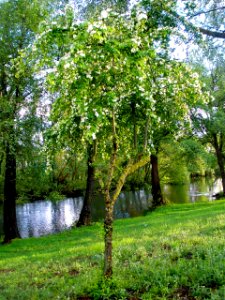 Plasencia - Parque de la Isla y río Jerte 14