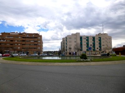 Pinto - 020