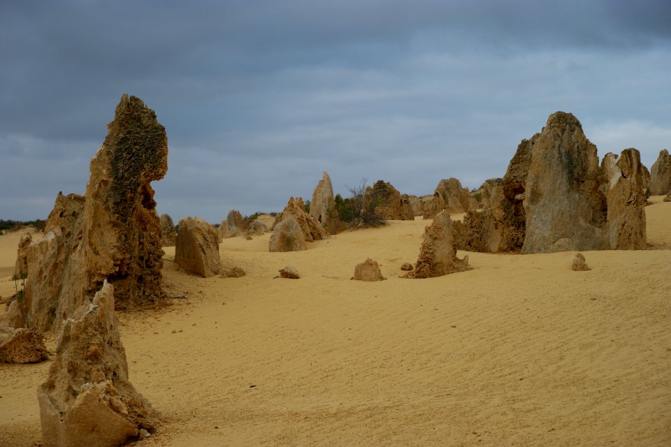 Pinnacles Desert, Nambung National Park, Western Australia 14