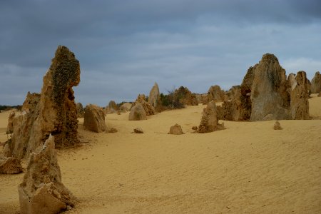 Pinnacles Desert, Nambung National Park, Western Australia 14