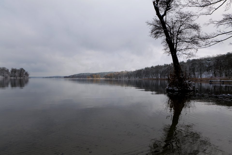 Pfaueninsel and Wannsee from Düppeler Forst with snow 2021-01-30 10