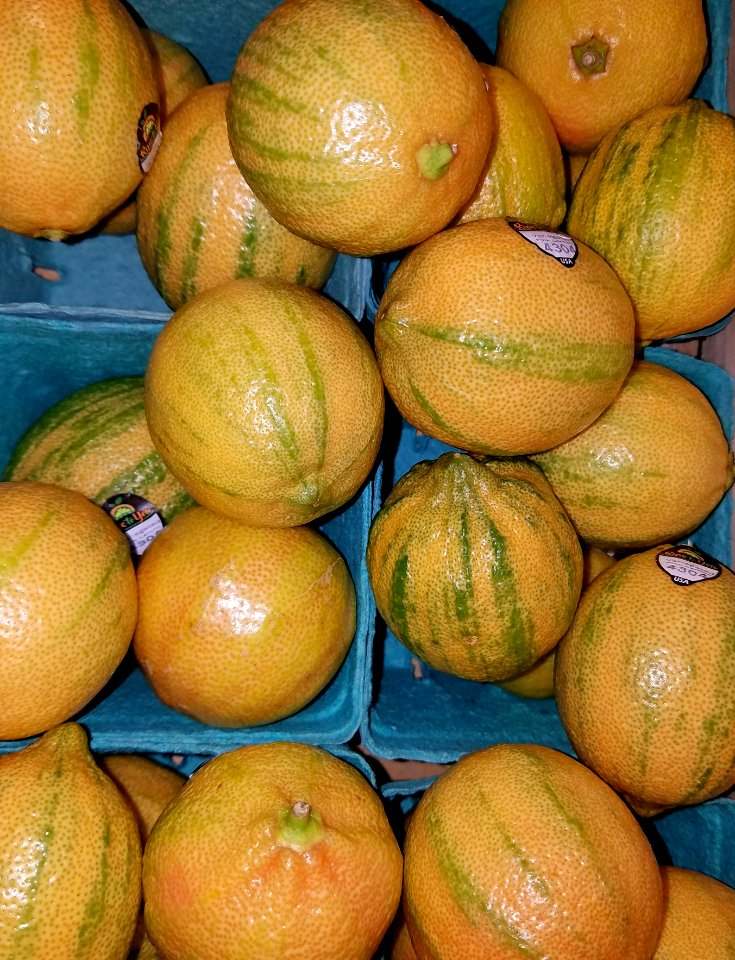 Pink lemons - Boston, MA