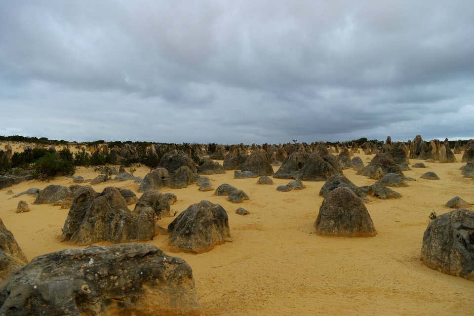 Pinnacles Desert, Nambung National Park, Western Australia 01