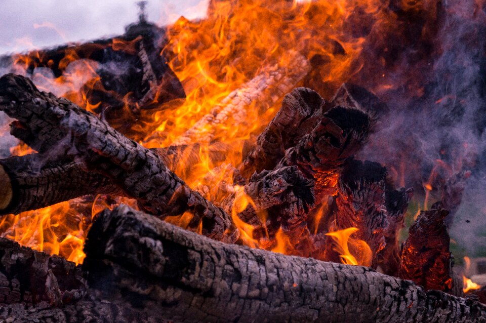 Beech wood potato fire potato roast photo