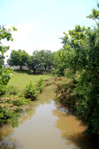 Pettit Creek, Cartersville, GA June 2018 photo