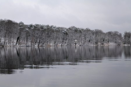 Pfaueninsel from Düppeler Forst with snow 2021-01-30 17
