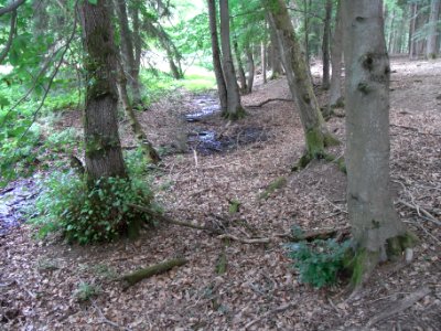 Pfingstborner Bach von Waldrand Wiese R0017013