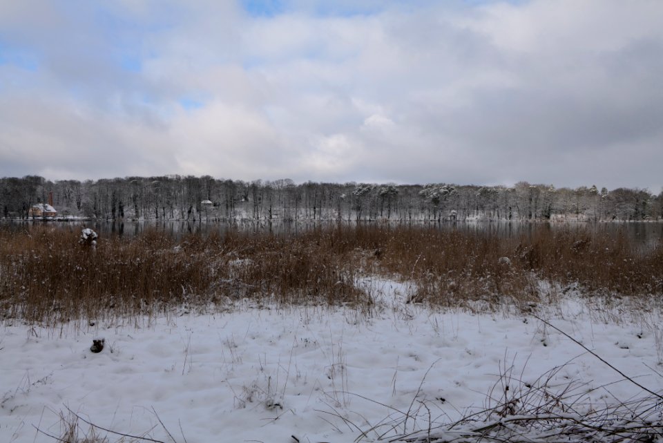 Pfaueninsel from Düppeler Forst with snow 2021-01-30 20