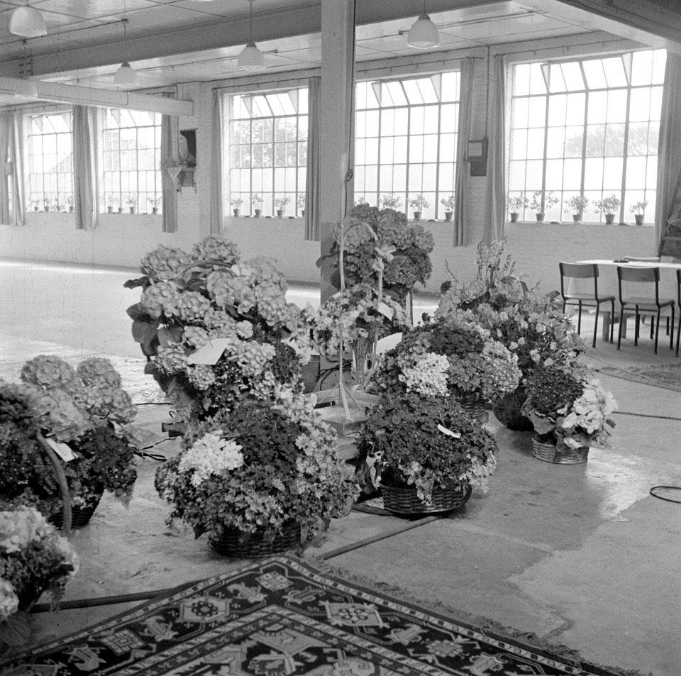 Ruimte met bloemstukken in manden en tapijt (vermoedelijk cadeaus bij receptie), Bestanddeelnr 255-8485
