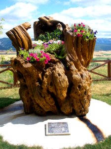 Santa Cruz de Campezo - Ermita de Nuestra Señora de Ibernalo 09