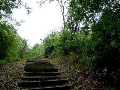Saint-Georges-sur-Meuse-Tumulus van Yernawe (3)