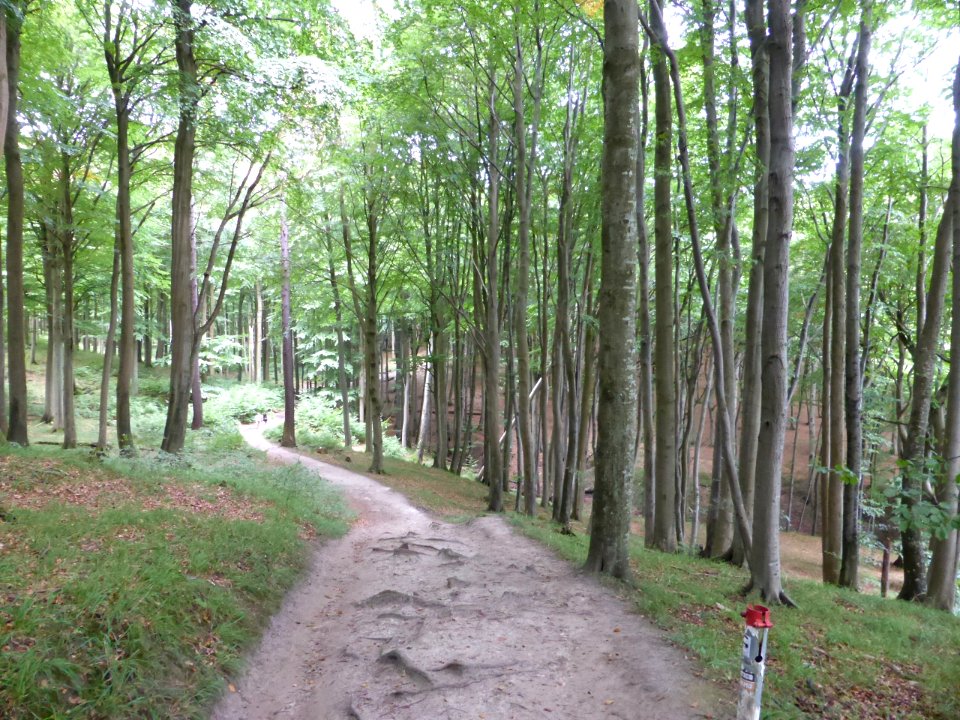 Ruegen-2016-08-27-7