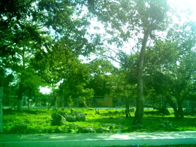 Santa María Yaxché (Mérida), Yucatán (03)