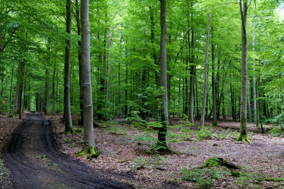 SAC Kleine Schorfheide - Havel 2021-05-29 64
