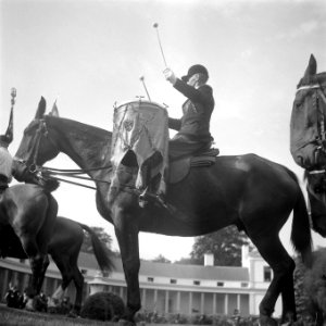 Ruiterfeest Prinsesjes te paard, Bestanddeelnr 902-3687