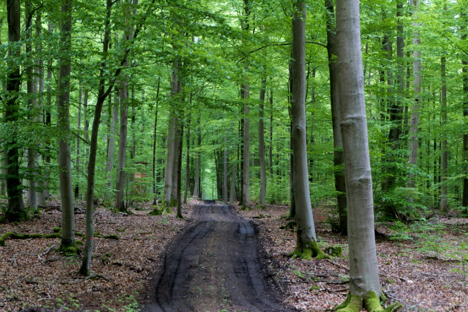 SAC Kleine Schorfheide - Havel 2021-05-29 63