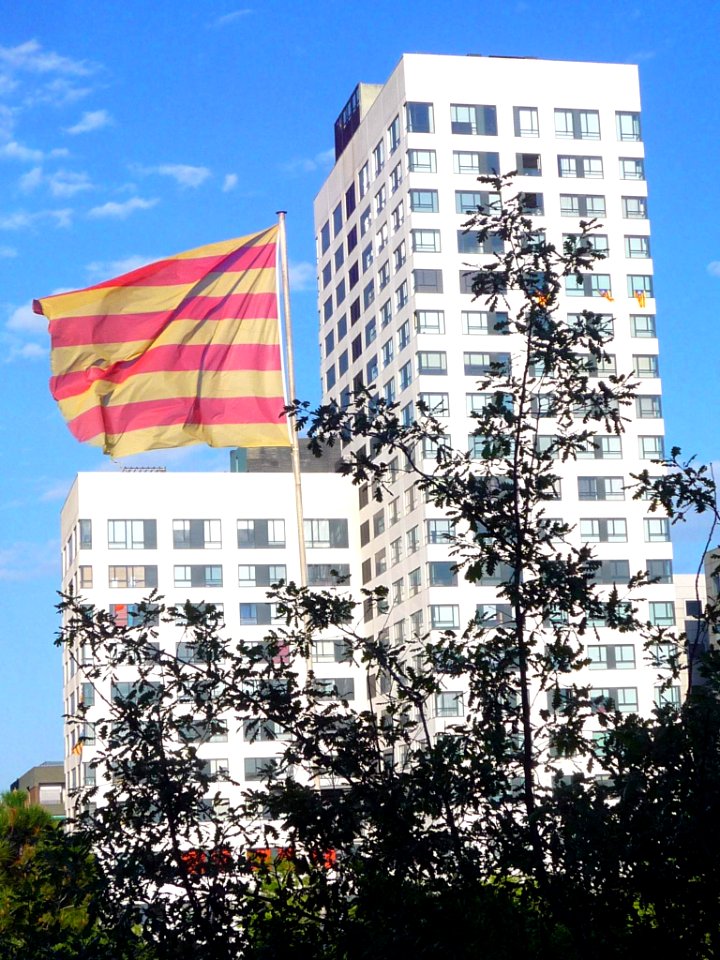 Sabadell - Avinguda de Francesc Macià, Les Orenetes de l'Eix 14