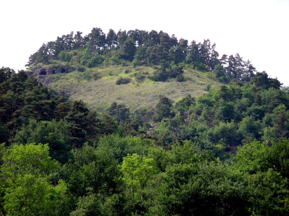 Saint-Nectaire Puy de Châteauneuf2