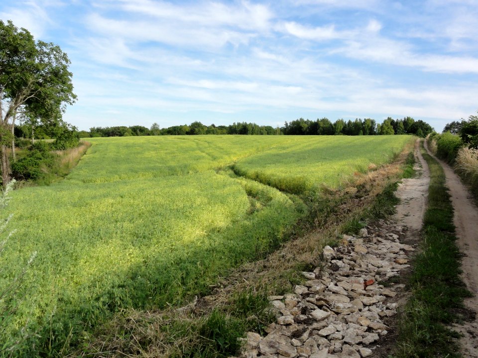 Saint-Erme-Outre-et-Ramecourt (Aisne) chemin du vieux Laon menant au Camp des Romains