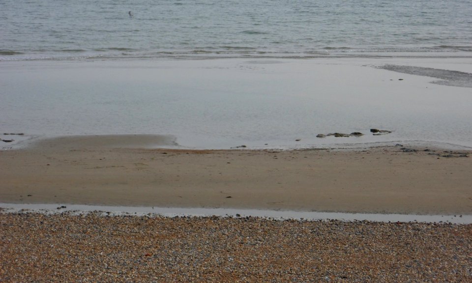 Sand at Low Tide at Hove Beach (August 2013) (1)