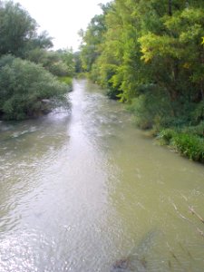 San Esteban de Gormaz - Río Duero 14