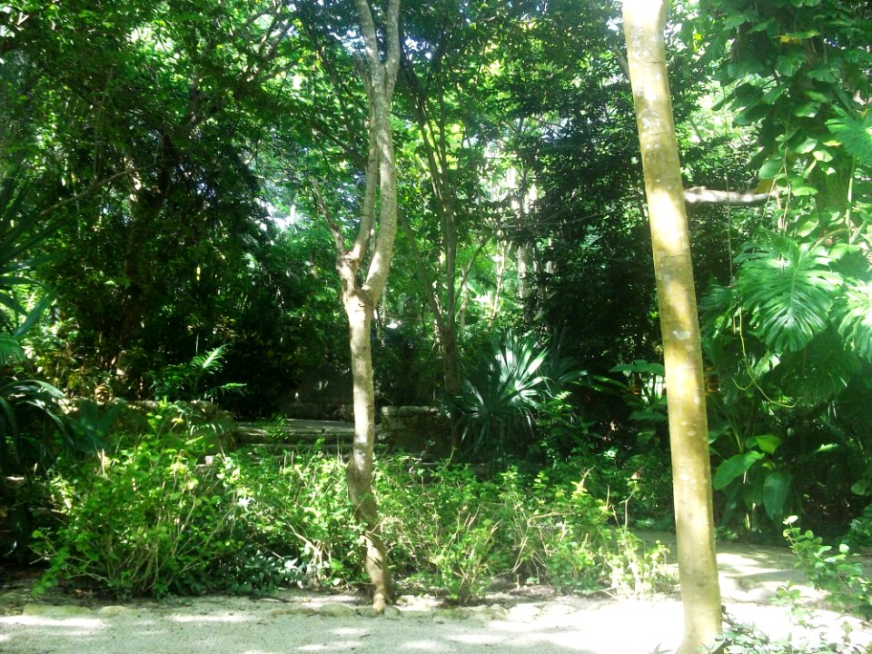 San José Cholul, Yucatán (03)