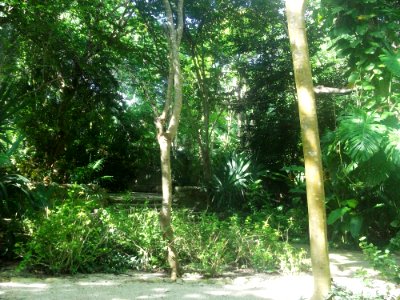 San José Cholul, Yucatán (03)