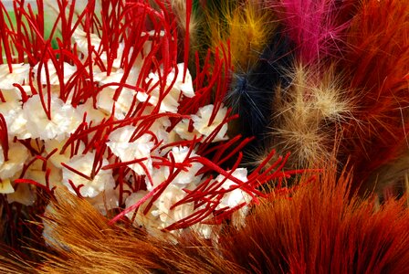 Feathers handmade colored