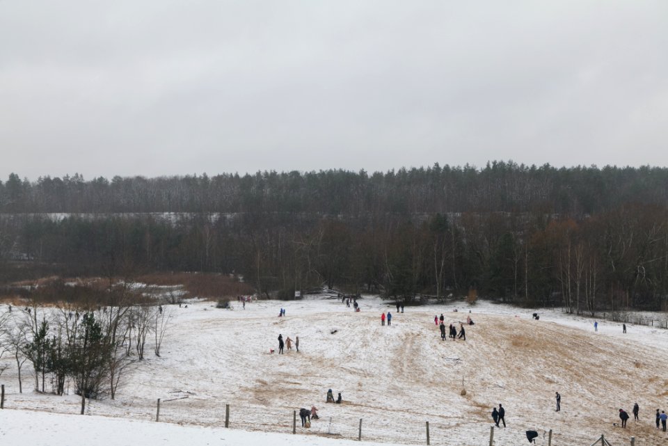Sandgrube im Jagen 86 with snow 2021-01-03 05
