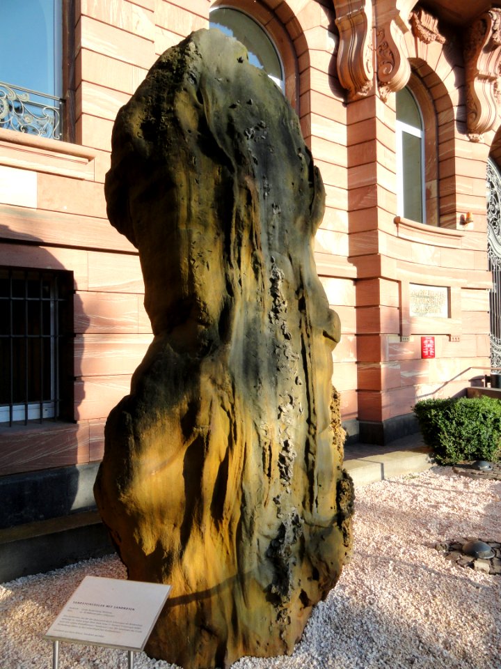 Sandstone with desert rose crystals - Naturmuseum Senckenberg - DSC02295