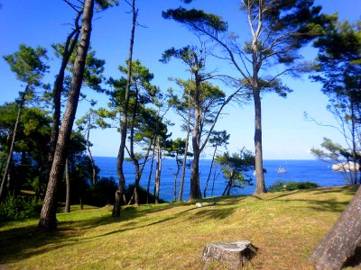 Santander - Península de la Magdalena 14