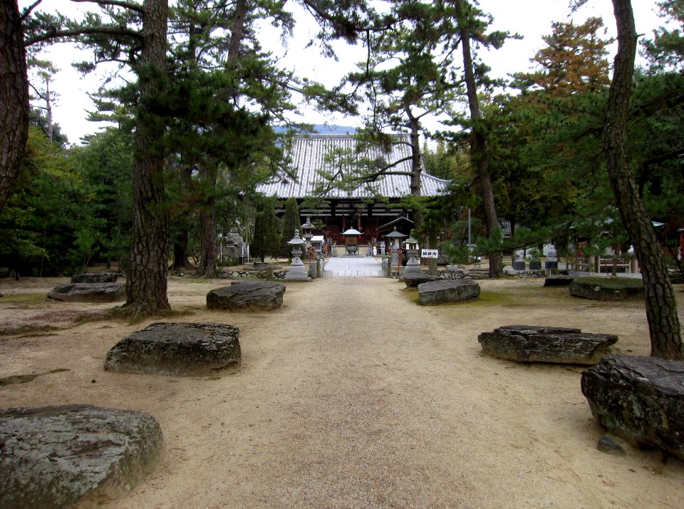 Sanuki-kokubunji kondou-ato and hondou