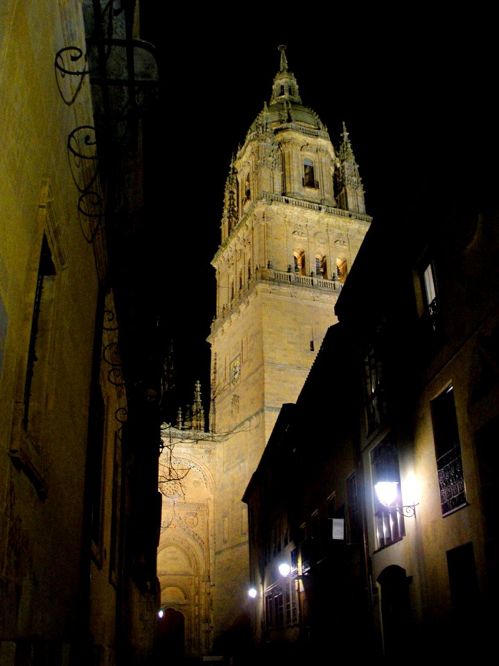 Salamanca - Catedral Nueva, nocturno 01