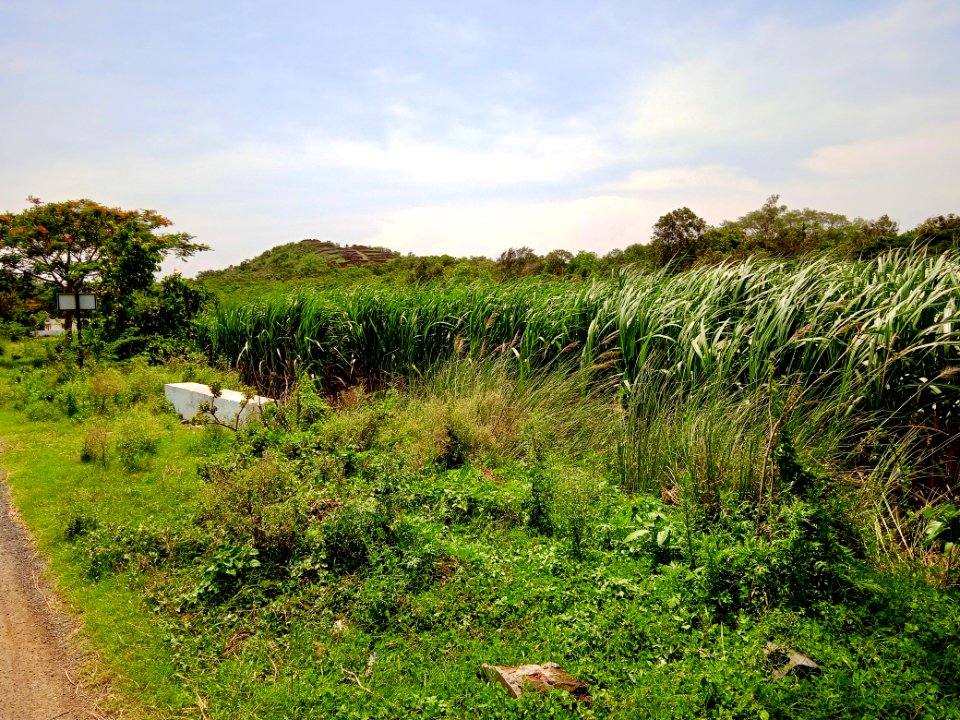 Salihundam, Andhra Pradesh - 3