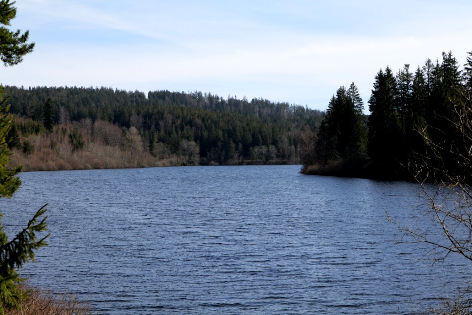 Schwarzenbachtalsperre 2020-03-15 14